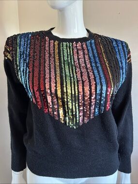 Wild Flower Black Sweater with Multicolor Sequin Stripes